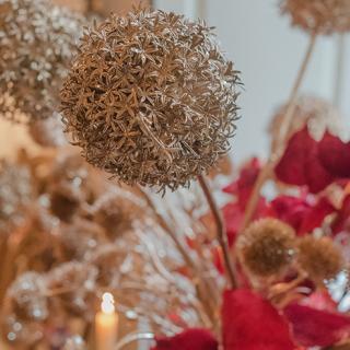 Branches Sprays & Picks