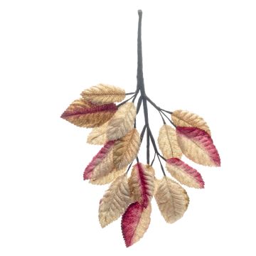 Raspberry Velvet Leaf Branch