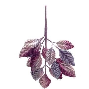 Dark Amaryllis Velvet Leaf Branch