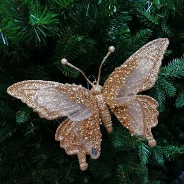 Gold Butterfly