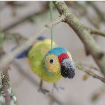 Green Parrot