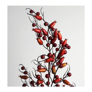 Red Rosehip Branch