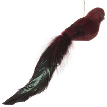 Burgundy Feather Longtail Bird