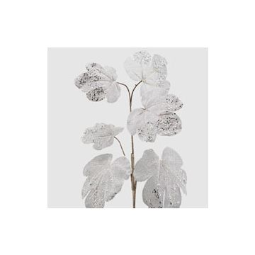 Silver Leaf Branch