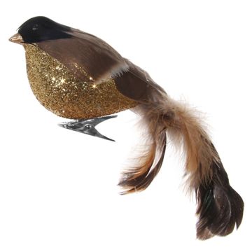Gold Feather Bird