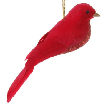 Red Feather Bird