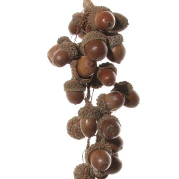 Acorn Hanger