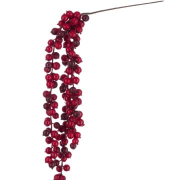 Red Hanging Berry Cluster