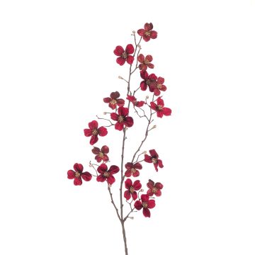 Red Dogwood Spray