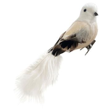 Cream Feather Bird