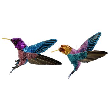 Purple Hummingbird