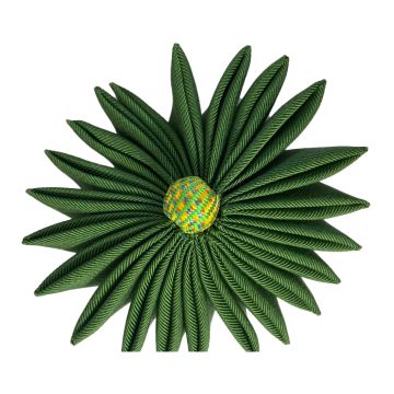 Leaf Green Sea Urchin