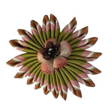 Pink Green Sea Urchin