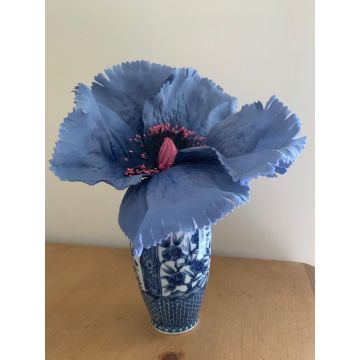 Hyacinth Blue Flower