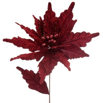 Wine Poinsettia Stem