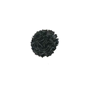 Black Peonie with Pin