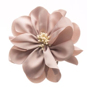Ancient Stocking Flower