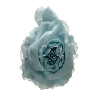 Aquarian Blown Rose