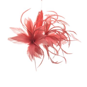 Astible Coral Feather Mount