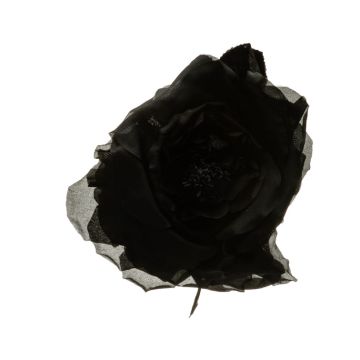 Black Blown Rose