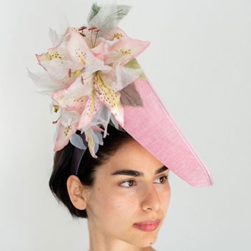 Geranium Pink Cheltenham Lily