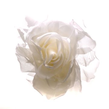 Clotted Cream Large Rose