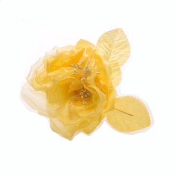 Daffodil 3 Bud Rose