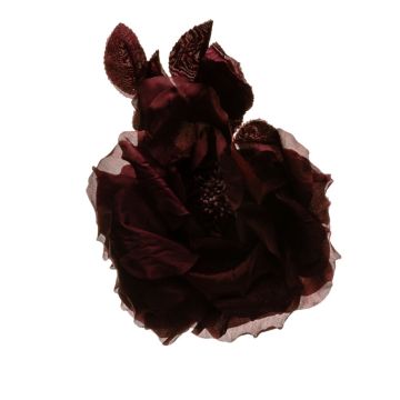 Dark Amarylis Blown Rose