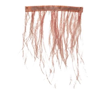 Deep Apricot Ostrich Fringe 120mm