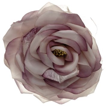 Damson Mauve Rose