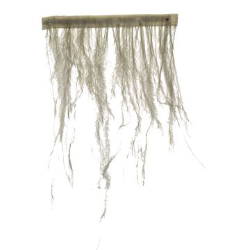 Pebble Ostrich Fringe 120mm