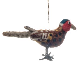 Brown Pheasant