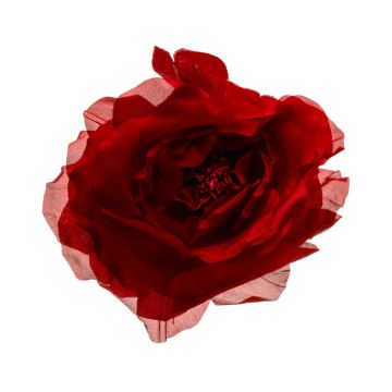 Post Box Red Blown Rose