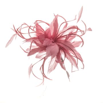 Rose Pink Feather Mount