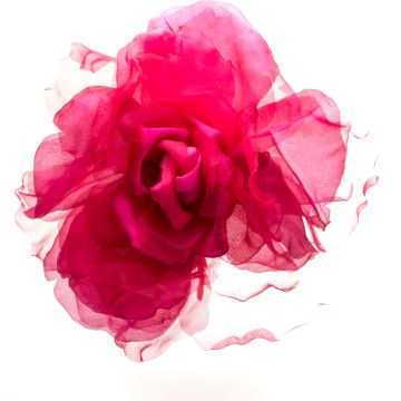 Sissinghurst Pink Giant Organza & Velvet Rose