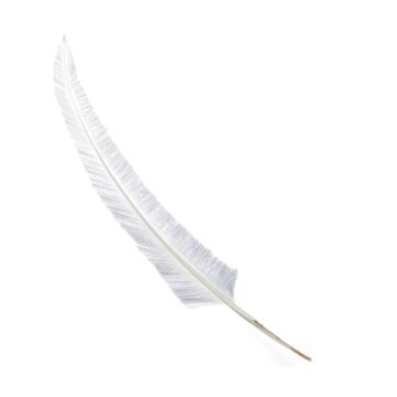 Stone Trimmed Ostrich Quill