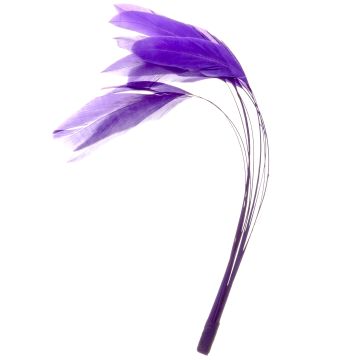 Viola Purple Stripped Coque Bunch