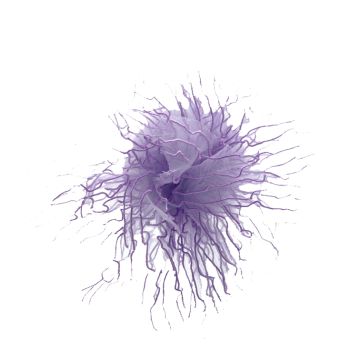 Viola Purple Organdy Flower Clip 100mm