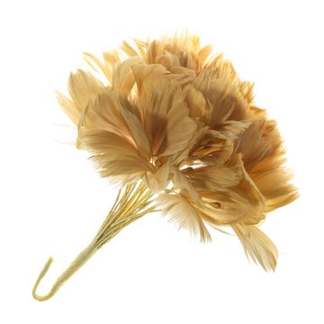 Arabian Sandstor Feather Flower