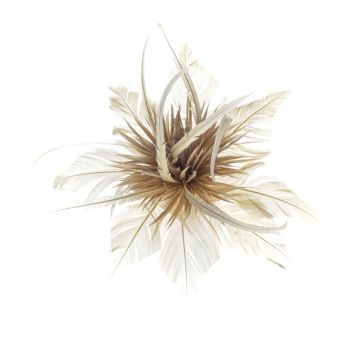 Arabian Sandstorm Feather Flower
