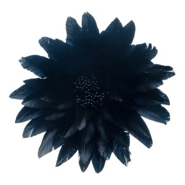 Black Water Lily