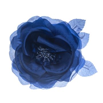 Ceanothus Silk Rose