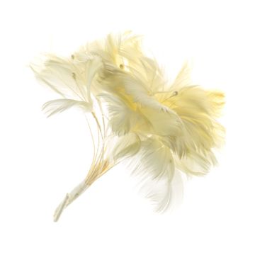 Clotted Cream Feather Flower