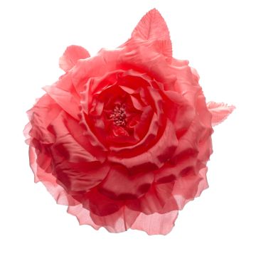 Coral Silk Rose