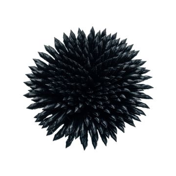 Crow Black Faux Leather Sea Urchin