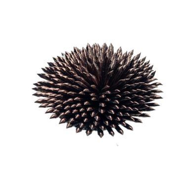 Dark Bark Faux Leather Sea Urchin