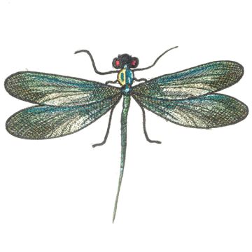 Green Dragonfly Motif