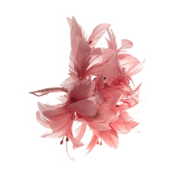 Geranium Pink Feather Flower