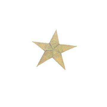 Gold Star Motif 60mm