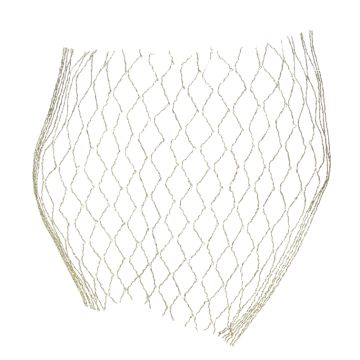 Gold Wired Mesh Ribbon